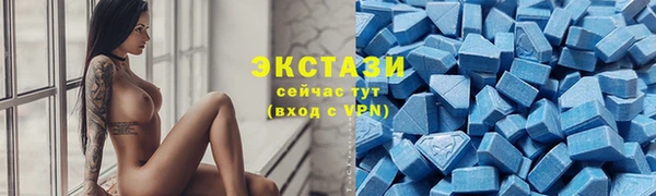 СК Алексин