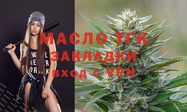 СК Алексин
