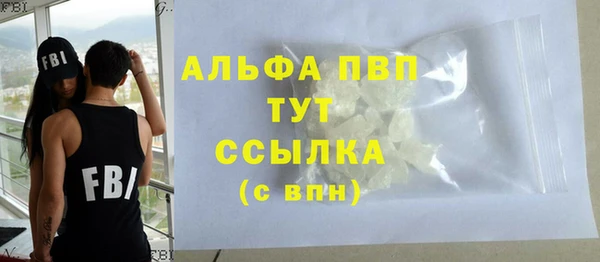 СК Алексин