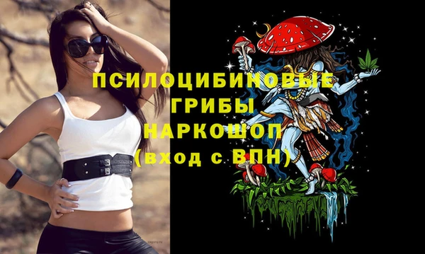 apvp Алексеевка